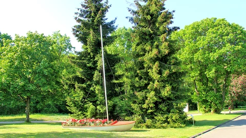 Impressum des CJD Homburg