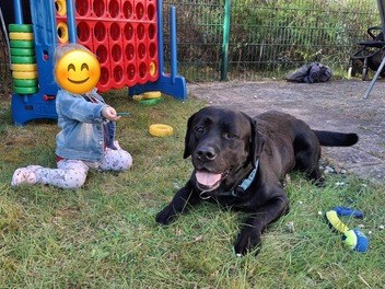 Kind und Hund nähern sich an