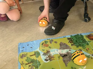 Bee-Bots sind besonders beliebt