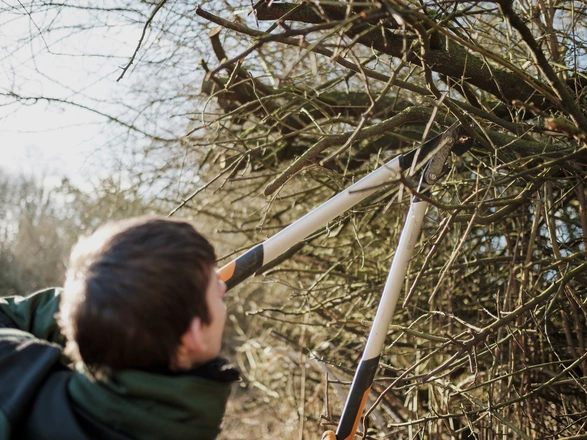 Unterstützte Beschäftigung (UB) im CJD Homburg