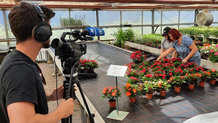 Der SR drehte unter anderem bei den BVBlern im Gartenbau des CJD Homburg
