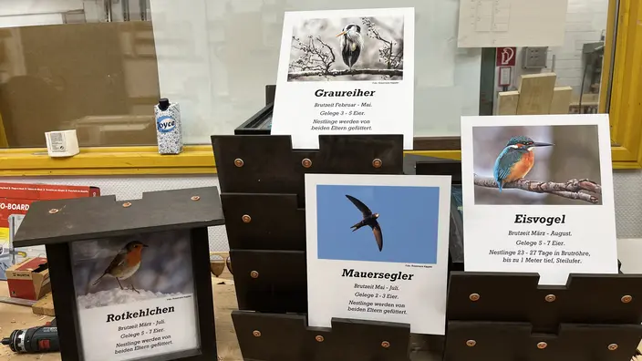 Schilder für den Vogellehrpfad