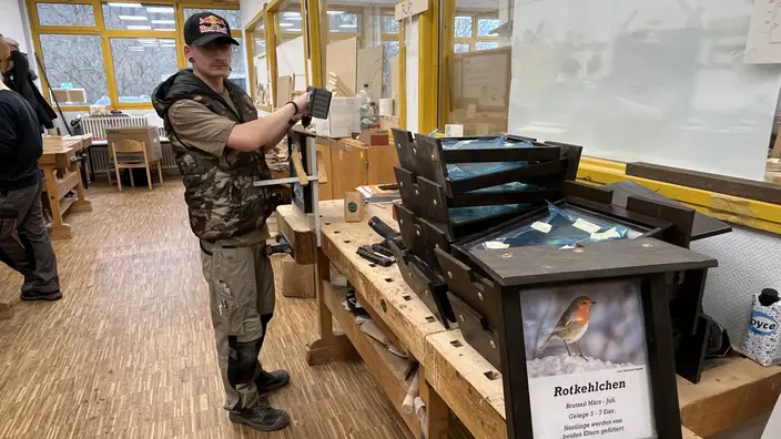 Schilder für den Vogellehrpfad