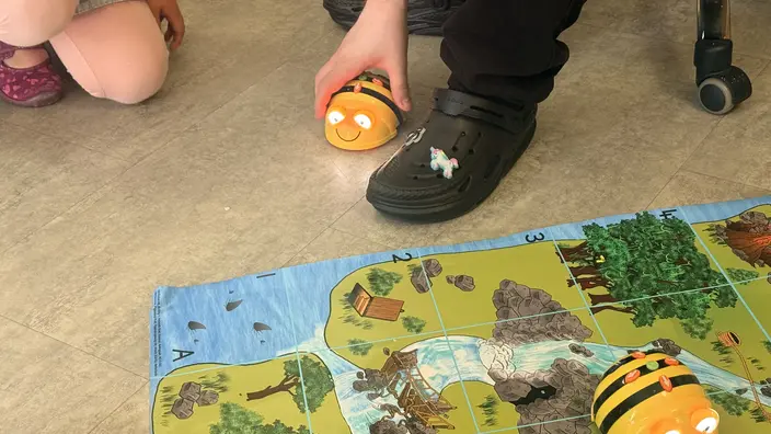 Bee-Bots sind besonders beliebt