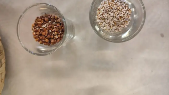 Buchweizen und Amaranth